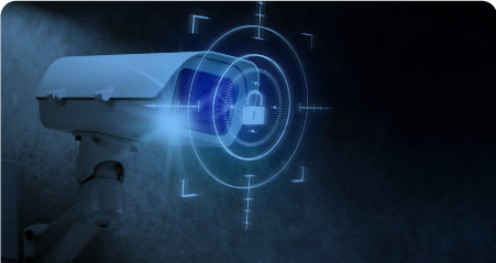 Cámaras de Seguridad